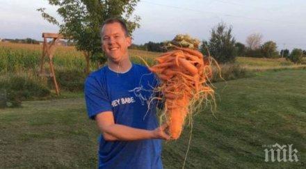 зеленчуков рекорд американец отгледа морков кила