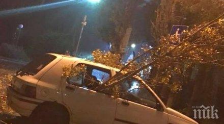 грозно силната буря потроши кола центъра бургас сеирджии подиграват собственика мрежата снимки