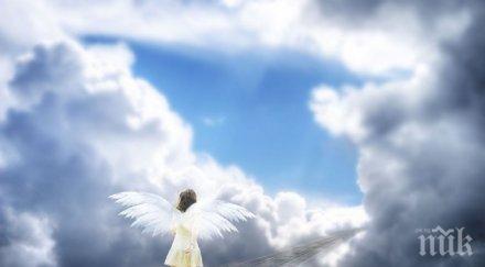 мистерия паднал ангел кърджалийско цери смъртници