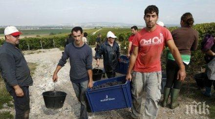 експлоатация нашенци работят роби италия