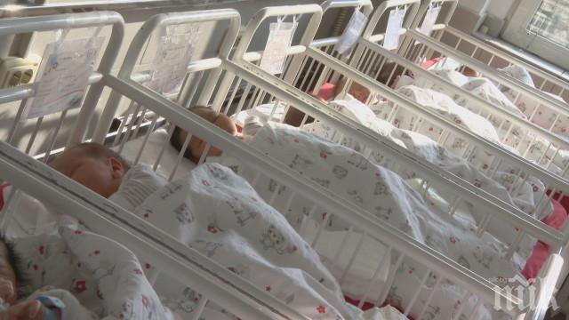 КРИЗА! По-малко бебета се раждат в Пловдив
