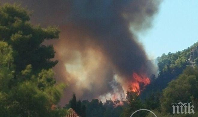 Пожарът на Халкидики изпепели гори и имоти