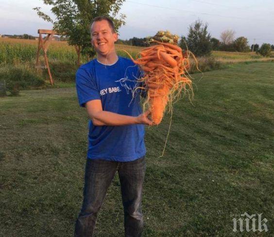 Зеленчуков рекорд! Американец отгледа морков 10 кила