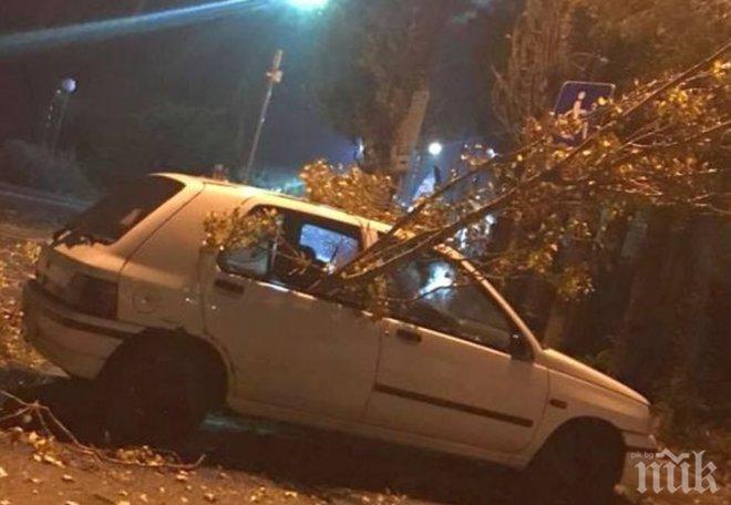 ГРОЗНО! Силната буря потроши кола в центъра на Бургас, сеирджии се подиграват на собственика в мрежата (СНИМКИ)