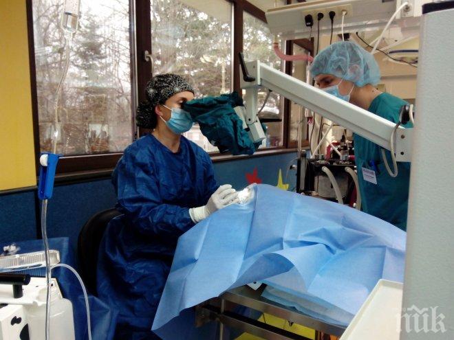 ШОКИРАЩ СЛУЧАЙ! Лекари в Плевен извадиха 10-сантиметров паразит от окото на пациент (СНИМКА 18+)