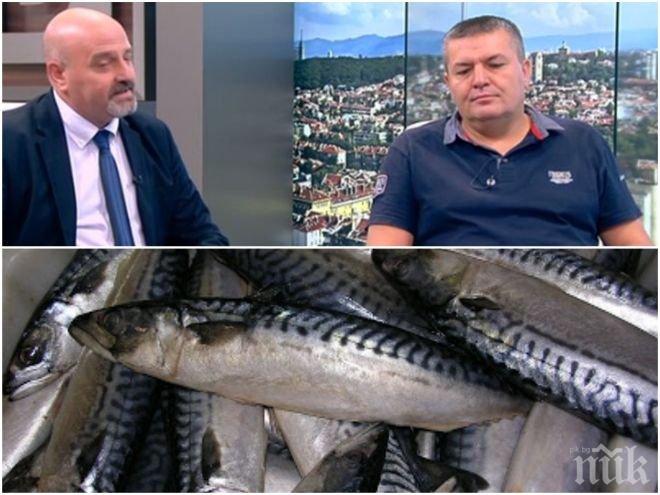 СКАНДАЛ В ЕФИР! Продава ли се отровна риба на българския пазар - ето каква опасност ни дебне