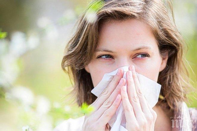 ОПАСНОСТ! Бум на алергиите до края на октомври