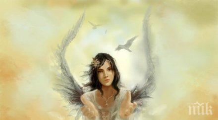 звездите говорят молете вашия ангел хранител изпратете рейки