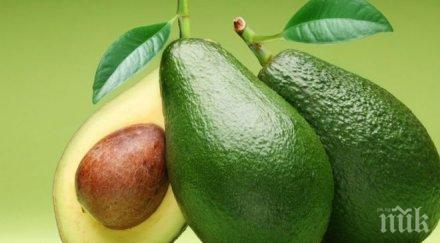 пет храни поддържат млади жизнени дълго време