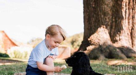 драма бъкингам принц джордж отказа ходи училище