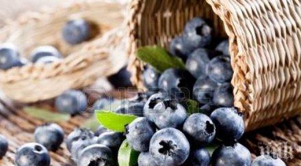 ценови рекорд боровинките гонят лева