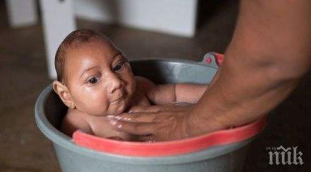 мутация вируса зика причинява опасни вродени малформации