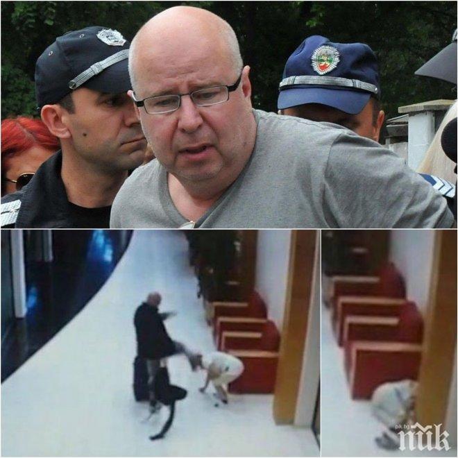 Топ адвокати за делото на шведа: Това не е шведска маса, всеки да се изказва неподготвен