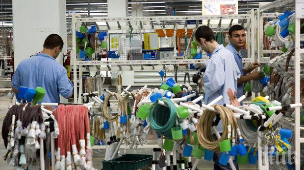 РАБОТНИ МЕСТА! Хит завод търси още 500 души персонал