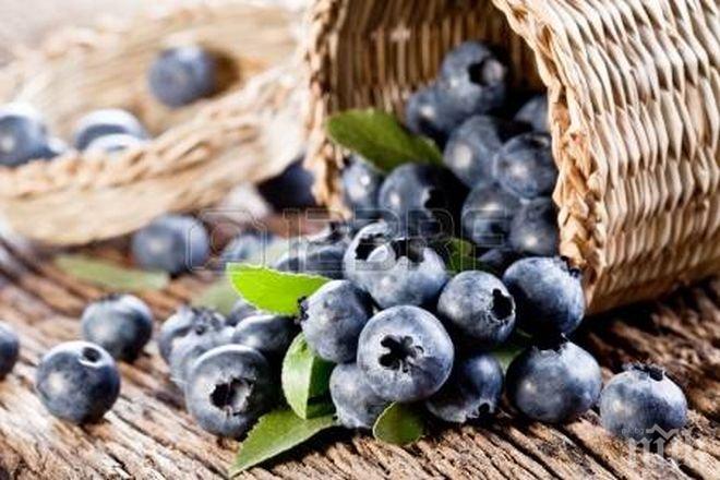 Мъж изчезна, докато бере боровинки из Стара планина