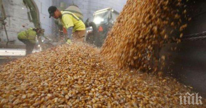 Полицията в Балчик разследва кражба на зърно