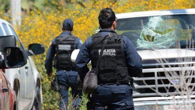ЗВЕРСТВО! 15 убити в Мексико, въоръжени атакували наркокомуна   