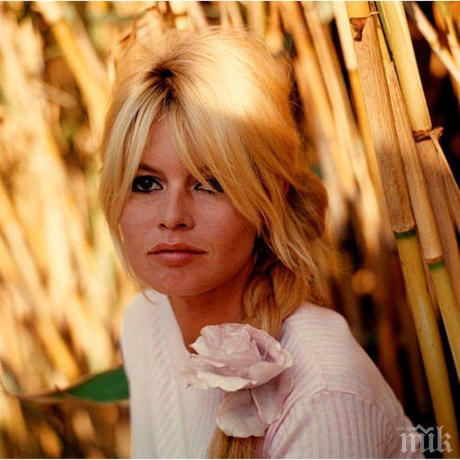 Издигат 700-тонна Бриджит Бардо в Сен Тропе