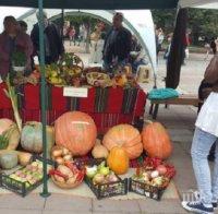Земеделци си мериха тиквите на Празника на плодородието в Кюстендил
