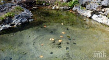 чудо лековита вода родопско село дава втори живот