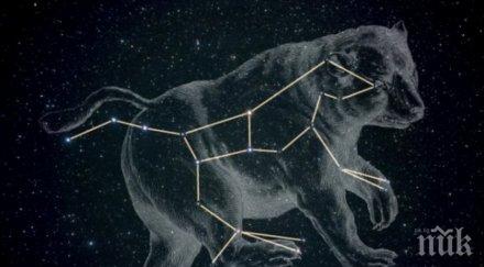 кое животно закриля зодията