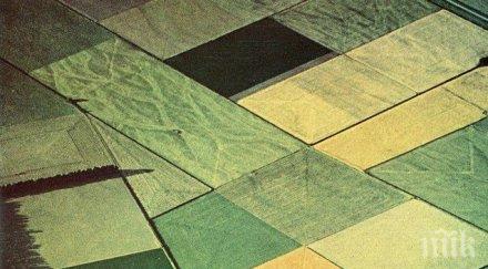 частните съдебни изпълнители разпродават евтина земя