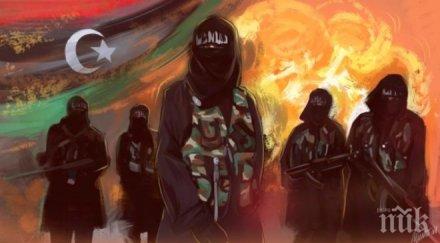 групировката хасм пое отговорност експлозията посолството мианмар кайро