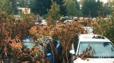 хиляди автомобила залежават веществени доказателства