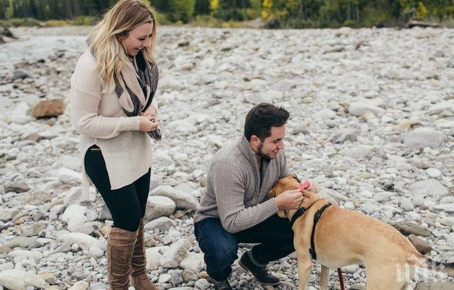 И това доживяхме! Американец предложи брак на кучето си