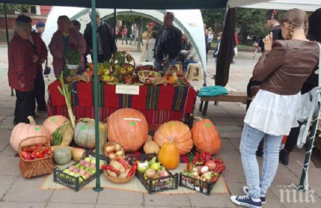 Земеделци си мериха тиквите на Празника на плодородието в Кюстендил