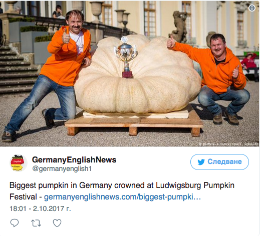 Най-голямата тиква в Германия тежи 792,5 килограма 