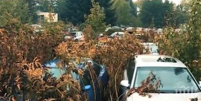 Над 5 хиляди автомобила залежават като веществени доказателства
