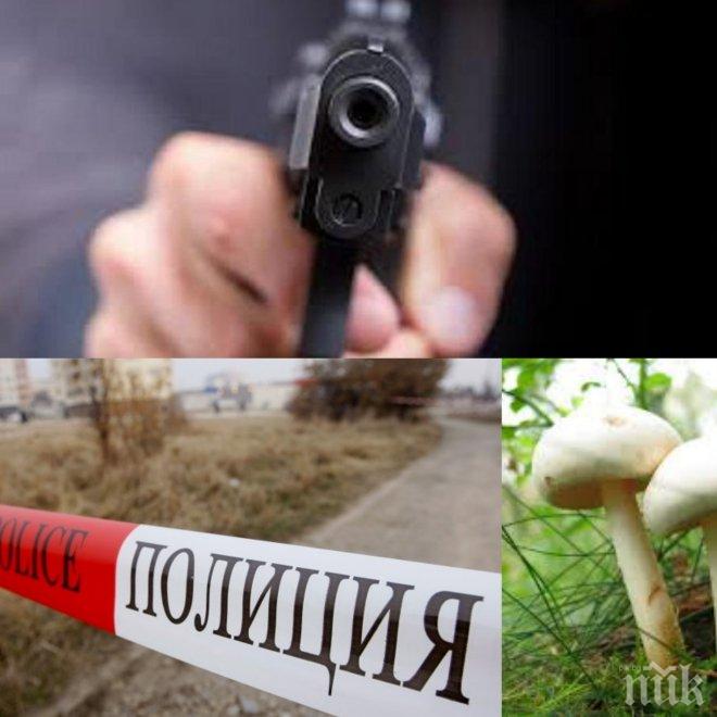 СТРАХОТИЯ! Масови убийства в Родопите заради ... гъби