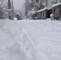 Сняг затвори пътища в Сърбия, остави много селища без ток