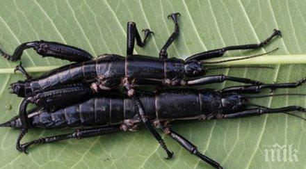 учени откриха създание смятано изчезнало