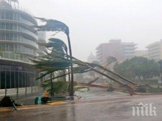белият дом поиска конгреса сащ милиарда долара ликвидиране последиците ураганите