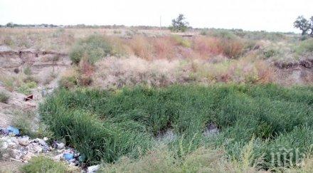 голяма опасност утайките пловдив отровят река марица