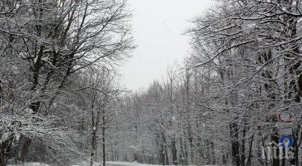 пълен обрат зимата идва студ дъжд сняг връхлитат събота