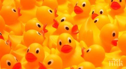 лошото време отмени състезанието патици пловдив