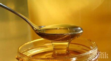 откриха пестициди сто произведения света мед