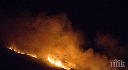 заради горските пожари приморския русия обявиха извънредно положение
