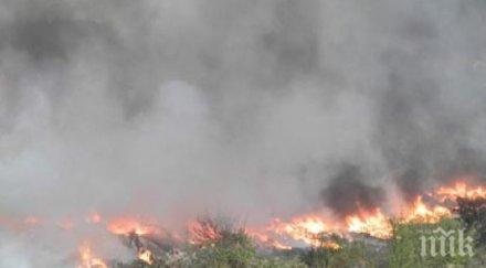 пожар лумна дупница пушеци плъзнаха шосето