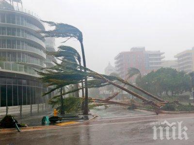 БЕДСТВИЕ В САЩ: Хиляди домакинства са без електричество заради урагана Хенри