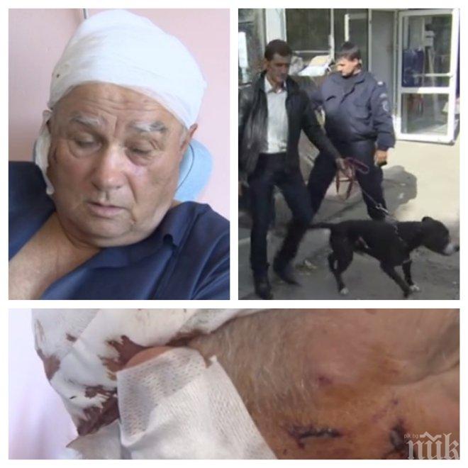 Нападнатият от питбул старец: Отхапа ми една трета от ухото!