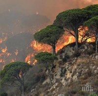 Броят на жертвите на горските пожари в Калифорния достигна десет души