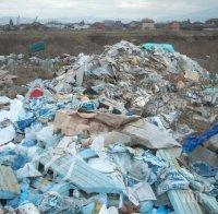Бунт във Бунт във