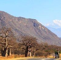 Инцидент! 12 загинали, след като микробус падна в езерото Виктория в Танзания
