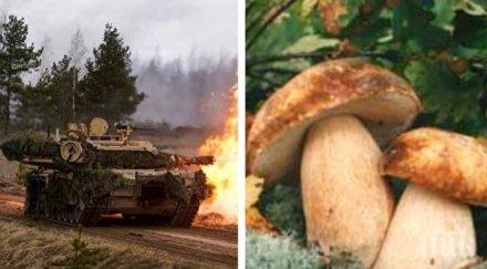 неочакван враг учение американска танкова бригада полша прекъснато заради нашествие гъбари