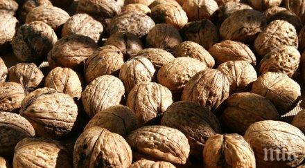 нелеп жена посегна брули орехи етаж падна фатално