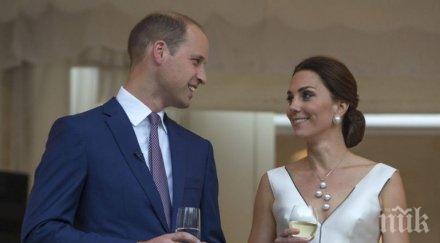 кейт принц уилям чакат близнаци